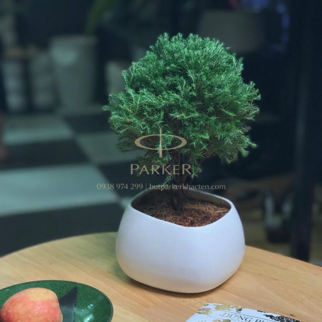Gợi ý 15+ quà tặng 20/11 cho thầy cô ý nghĩa và sang trọng - Butparkerkhacten.com