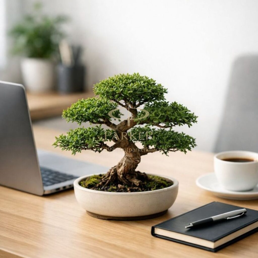 Danh sách 20+ quà tặng doanh nhân sang trọng, tinh tế và ý nghĩa - Butparkerkhacten.com