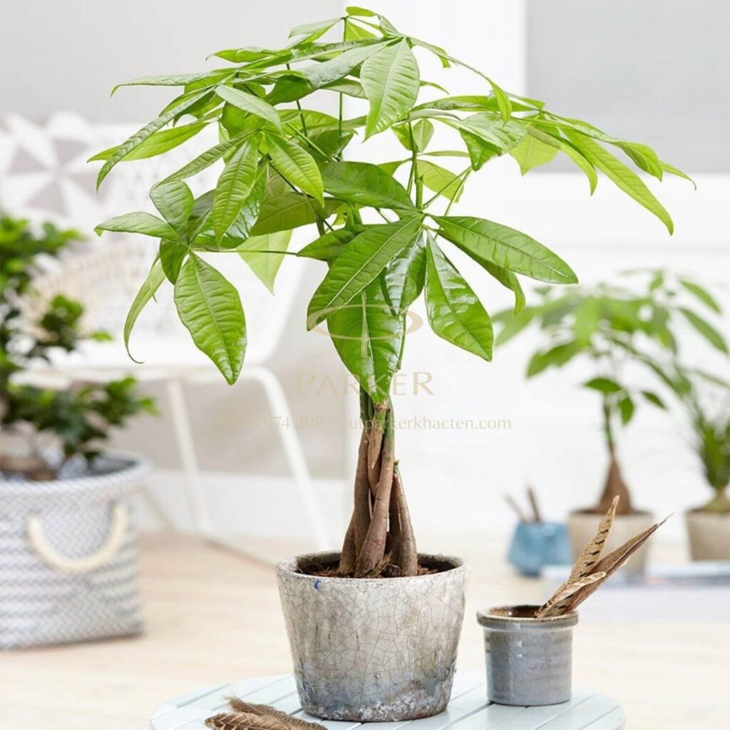 Quà tặng sếp nữ 20/10: Gợi ý 10+ món quà sang trọng, ý nghĩa - Butparkerkhacten.com