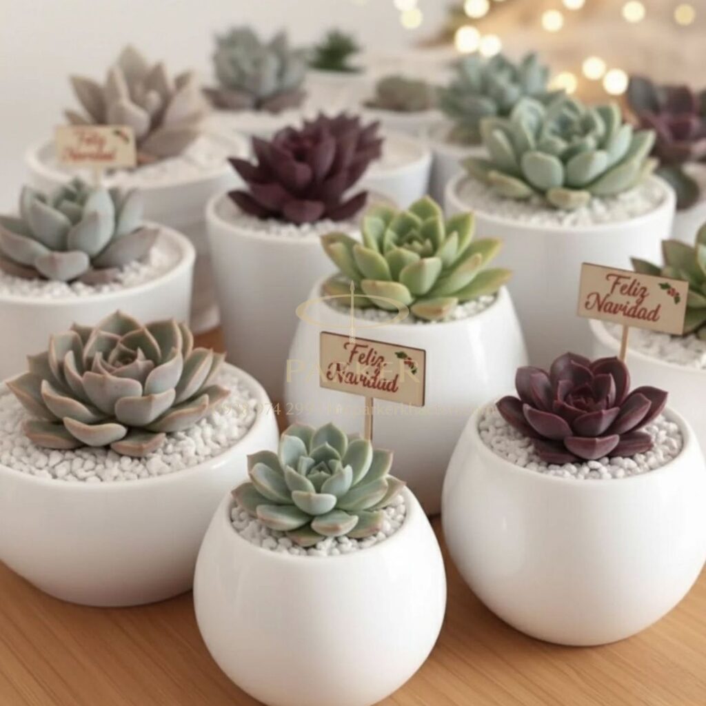 Quà tặng tốt nghiệp cho nữ: 11+ món quà ý nghĩa, thiết thực và tinh tế - Butparkekhacten.com